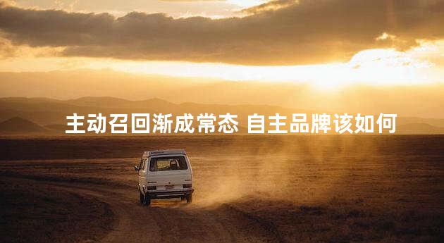 主动召回渐成常态 自主品牌该如何自处？